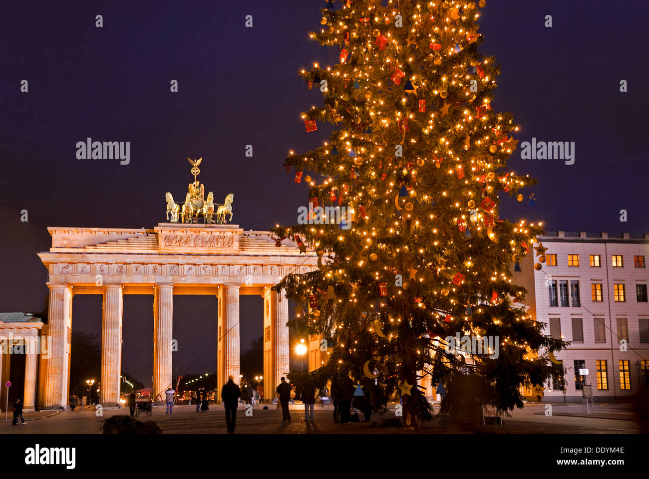 Porte de Brandebourg la nuit, arbre de Noël, Mitte, Berlin Banque D'Images