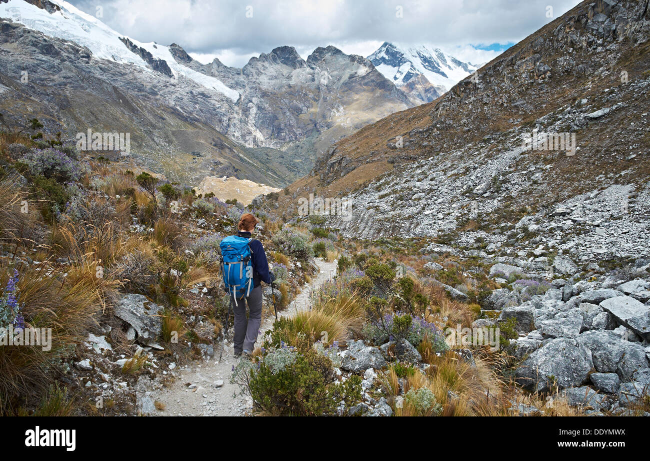 Female hiker marche dans le Parc National Huascarán, Andes Péruviennes avec le Huascaran et Yanapaccha dans la distance. Banque D'Images