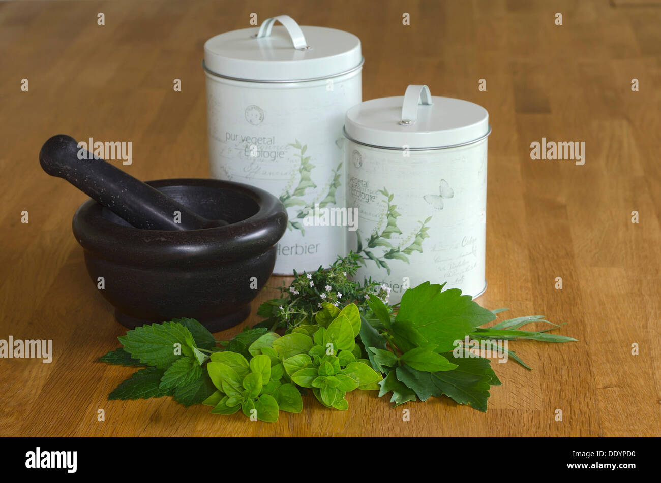 La mélisse (Melissa officinalis), l'origan (Origanum vulgare), livèche (Levisticum officinale), d'estragon (Artemisia dracunculus) Banque D'Images