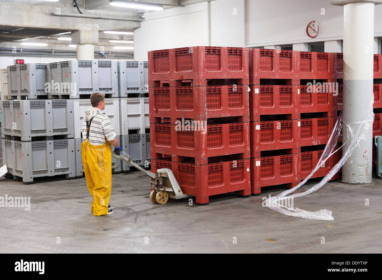 Un travailleur du marché aux poissons ou crieur public de Concarneau Bretagne France déménagement boîtes en plastique dans l'entrepôt Banque D'Images