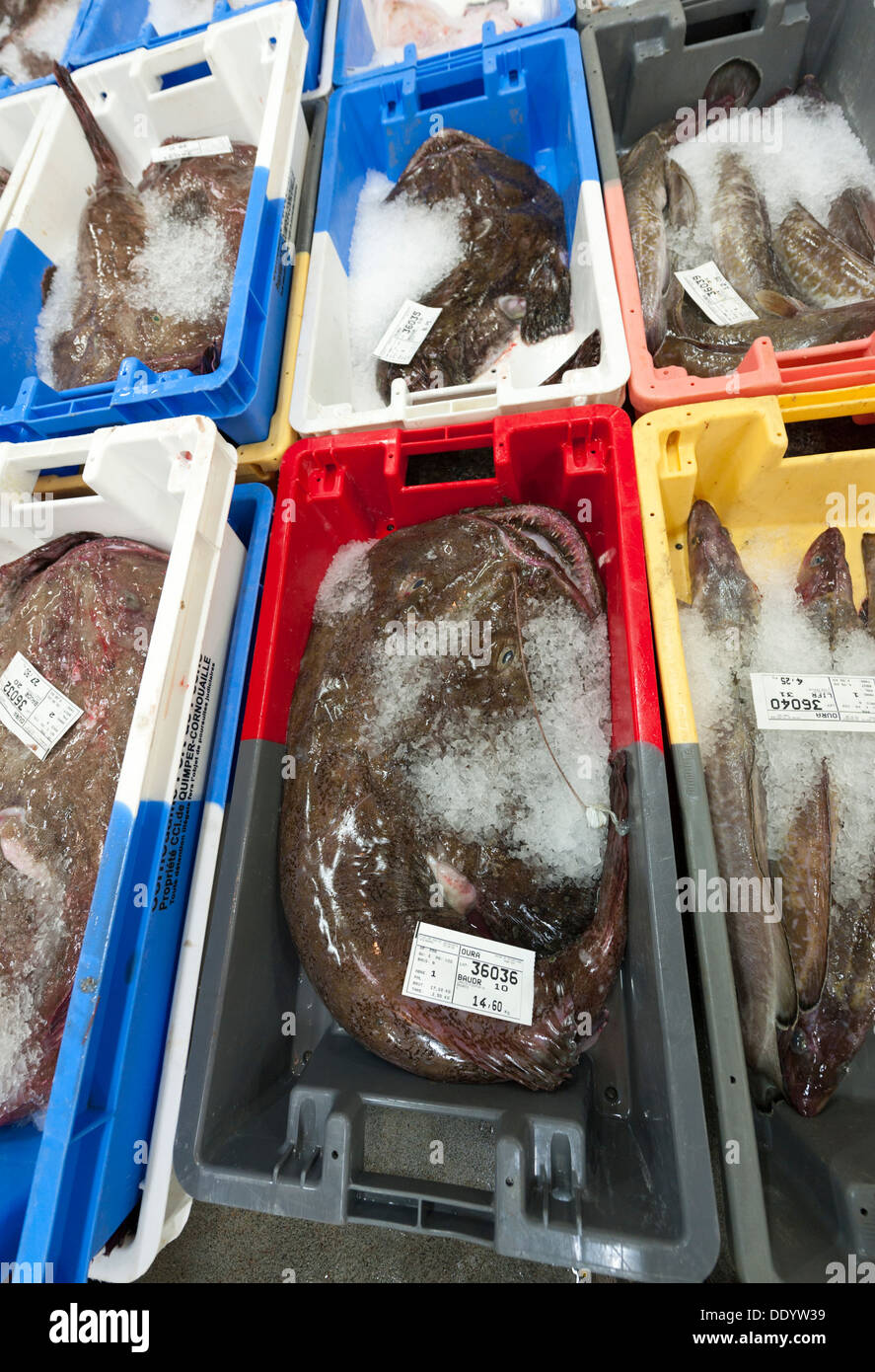 Le marché aux poissons et la vente aux enchères ou crieur public de Concarneau Bretagne France montrant les cases de lotte Banque D'Images