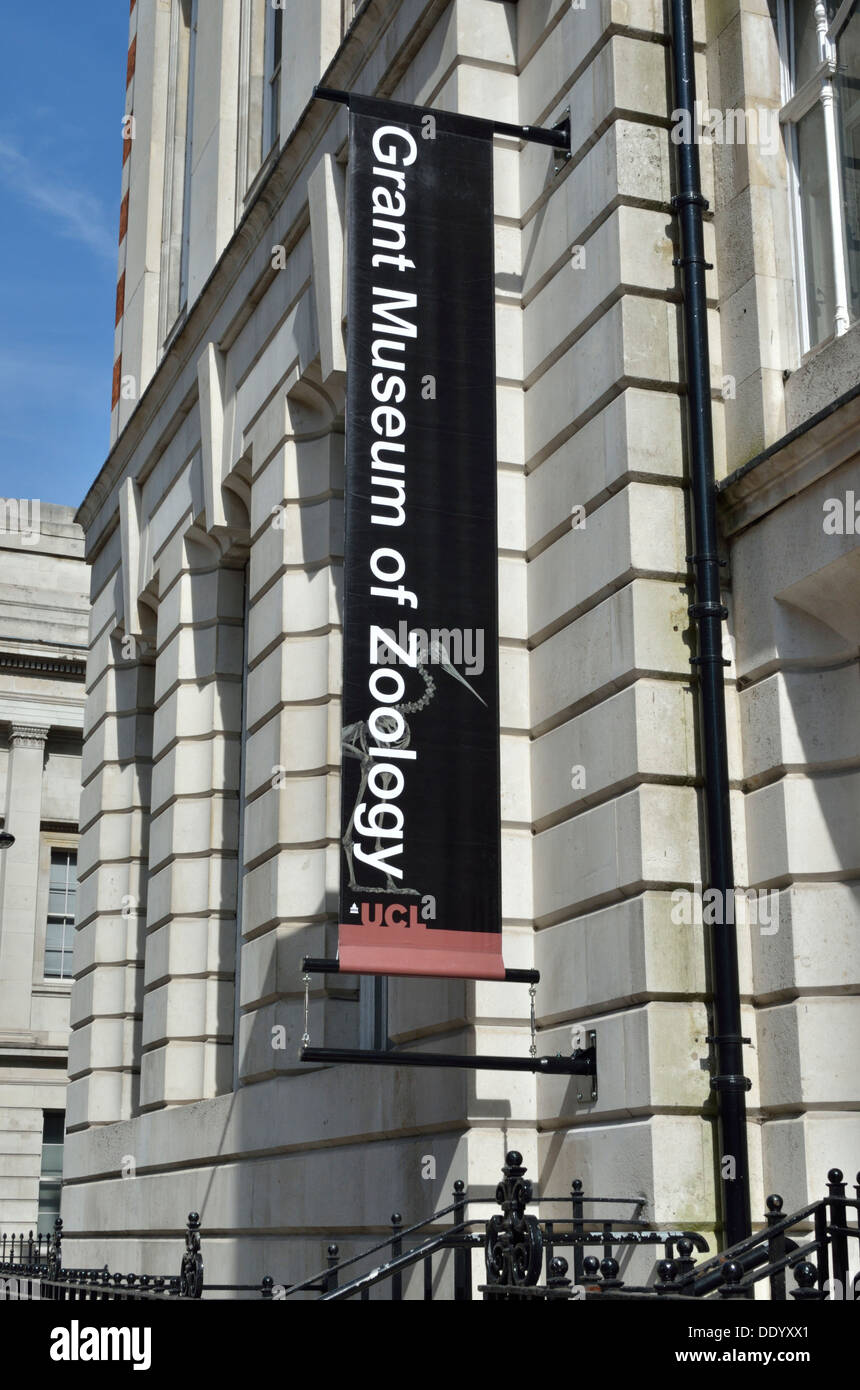 Subvention Musée de zoologie à l'Université Street, Bloomsbury, London, UK. Banque D'Images