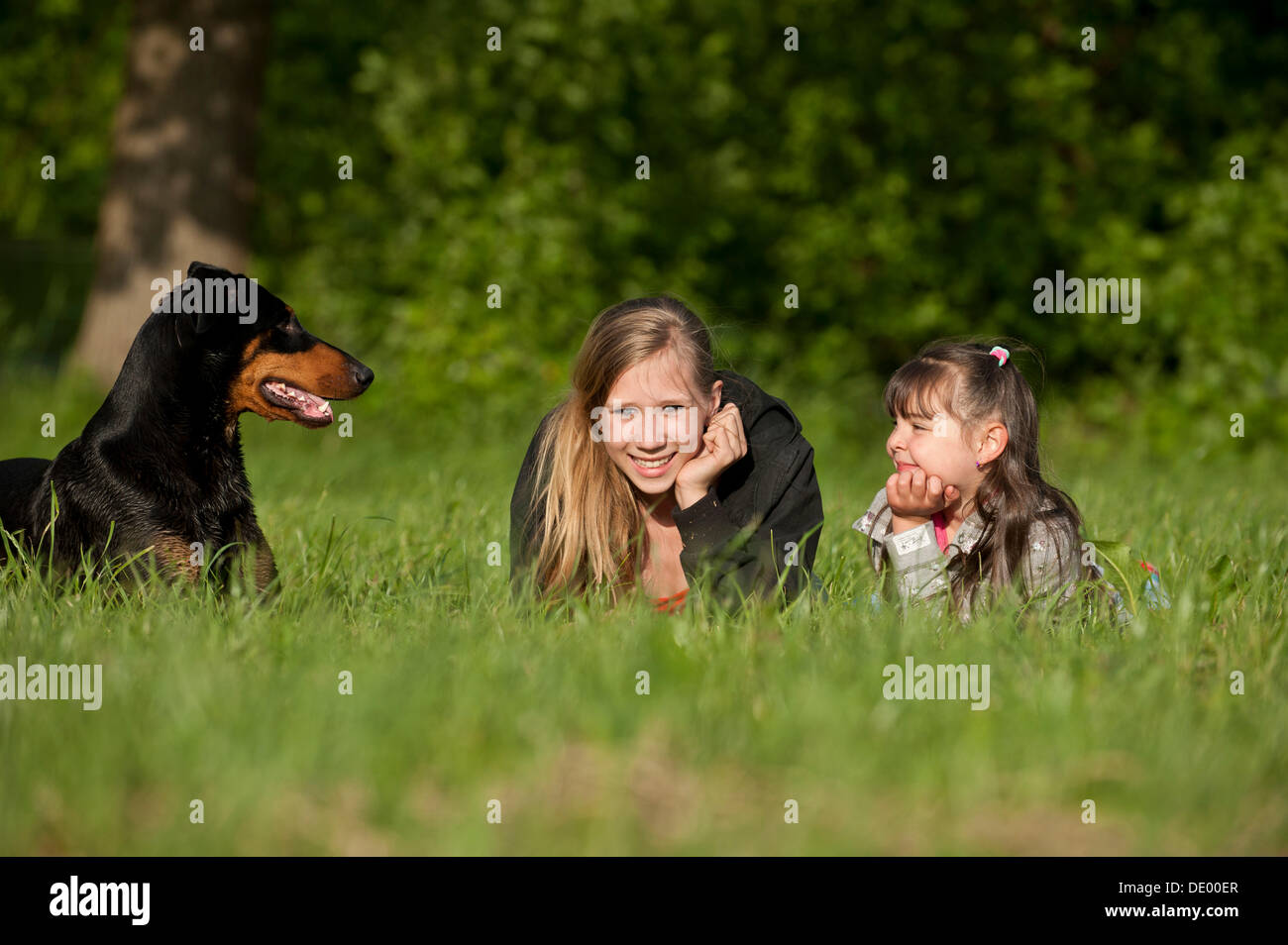 Deux filles avec un Doberman sur un pré Banque D'Images