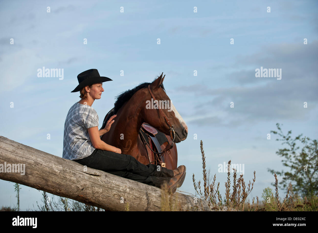 Femme avec un Quarter Horse Banque D'Images