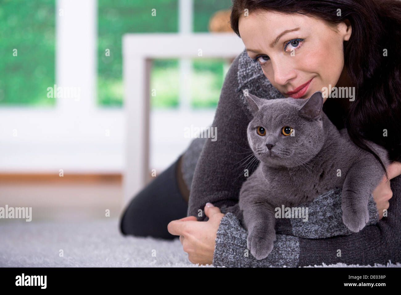 Une jeune femme à la maison avec un chat British Shorthair Banque D'Images