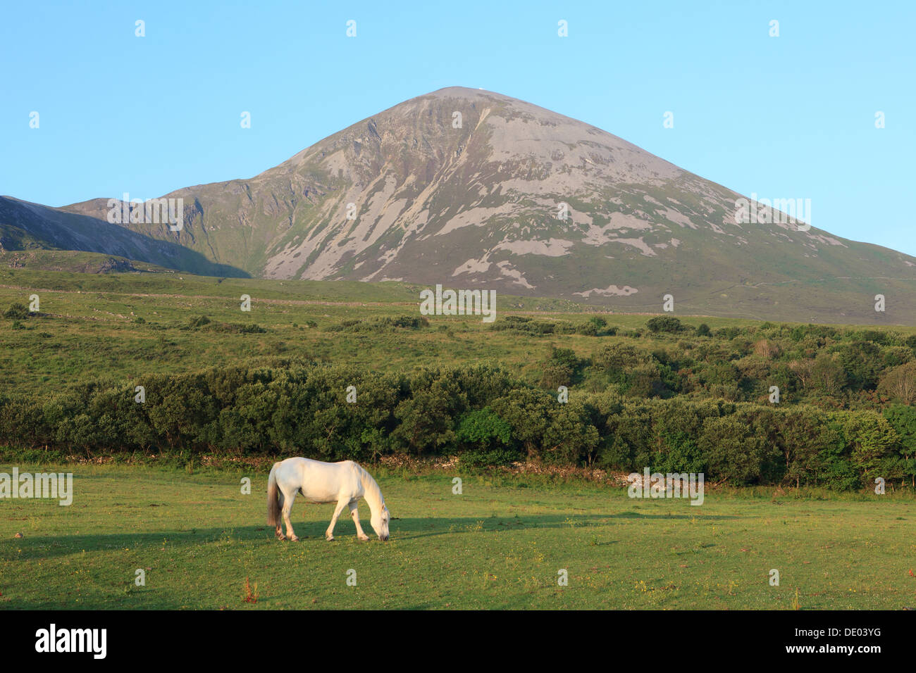 Croagh Patrick (Saint Patrick's Mountain) dans le comté de Mayo, Irlande Banque D'Images