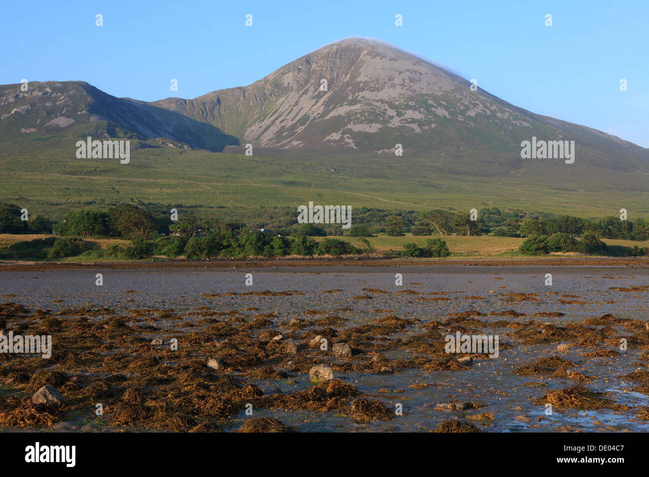 Croagh Patrick (Saint Patrick's Mountain) dans le comté de Mayo, Irlande Banque D'Images