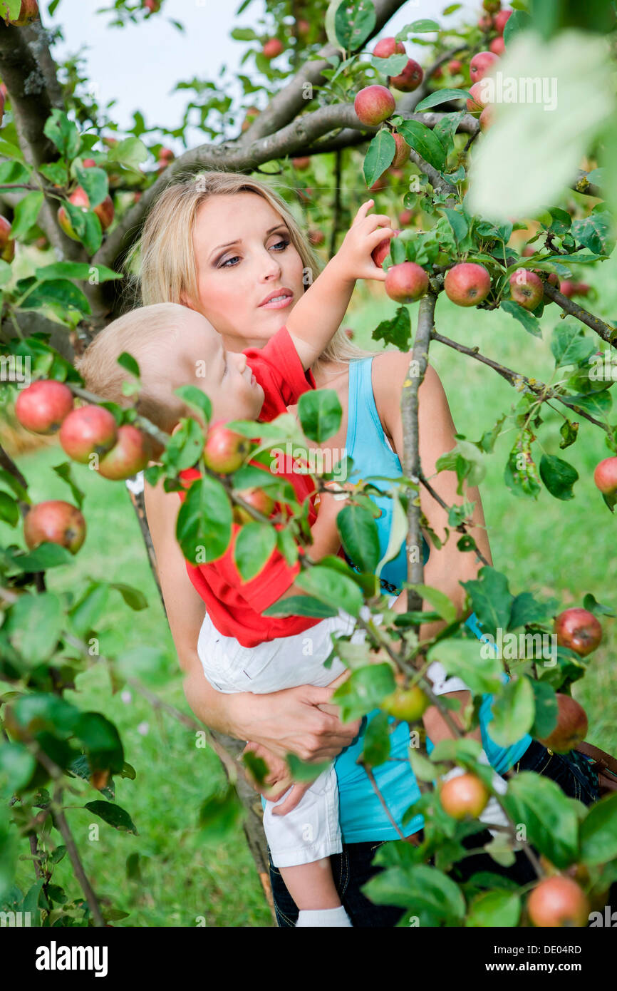 Jeune femme avec un enfant dans le jardin d'apple Banque D'Images