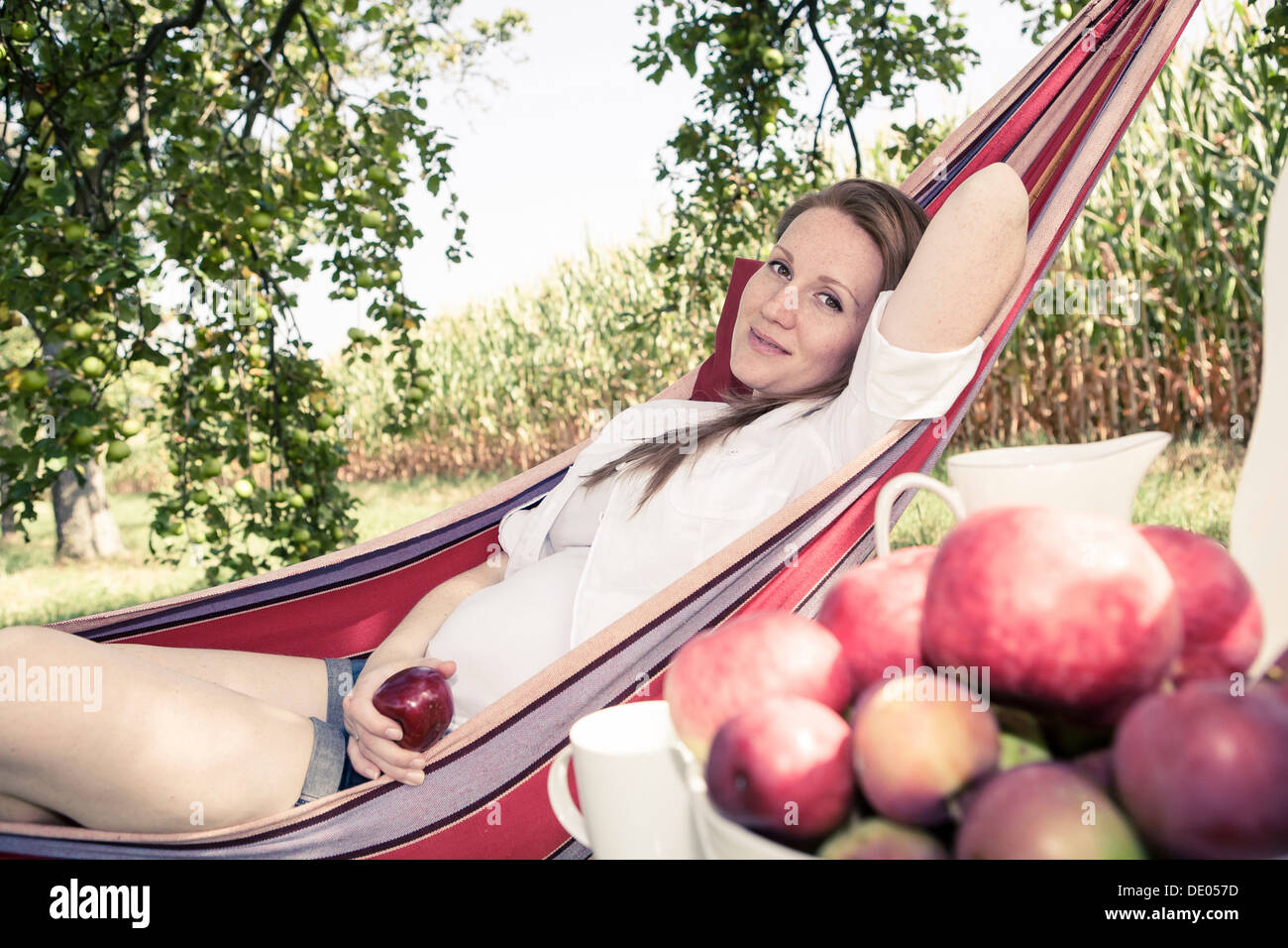 Femme enceinte dans un hamac dans le jardin d'apple Banque D'Images