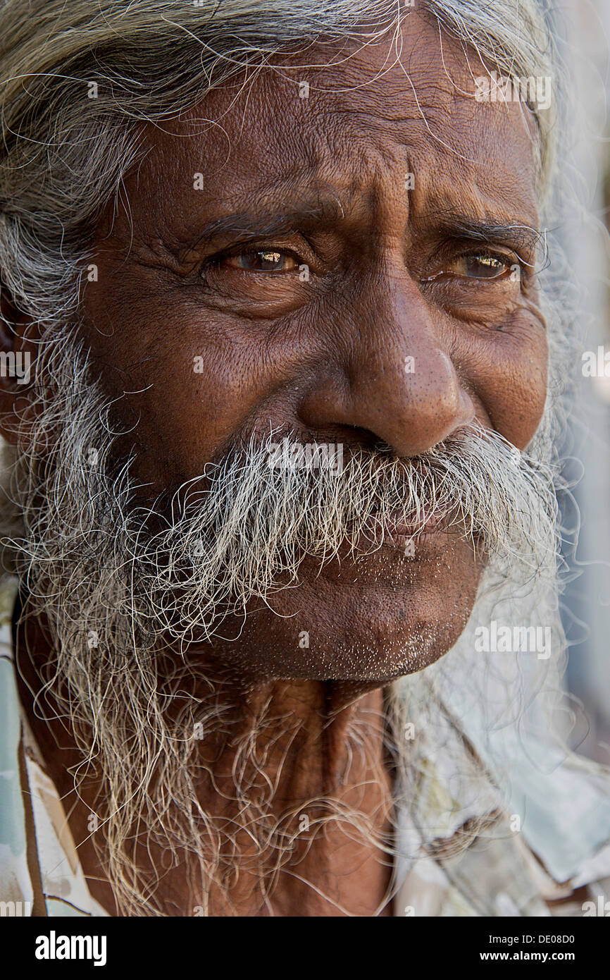 Un homme âgé d'origine indienne, portrait Banque D'Images