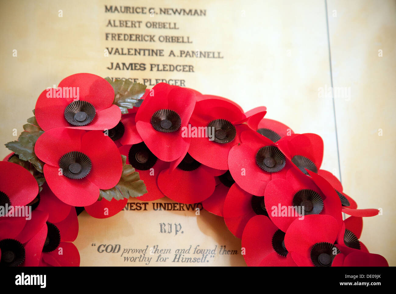 Mémorial de la Première Guerre mondiale avec des coquelicots, Suffolk, UK Banque D'Images