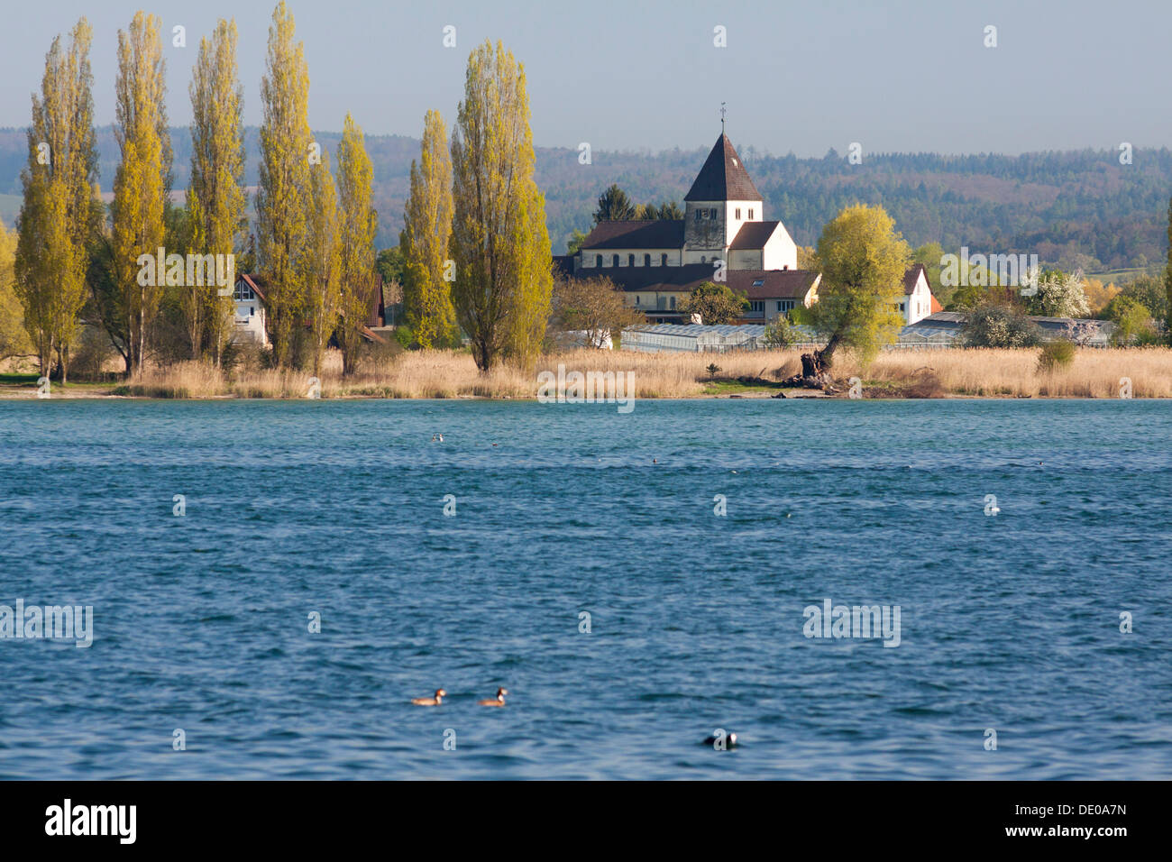 St George's Church sur l'île de Reichenau, Site du patrimoine mondial de l'UNESCO, le lac de Constance, Bade-Wurtemberg, PublicGround Banque D'Images