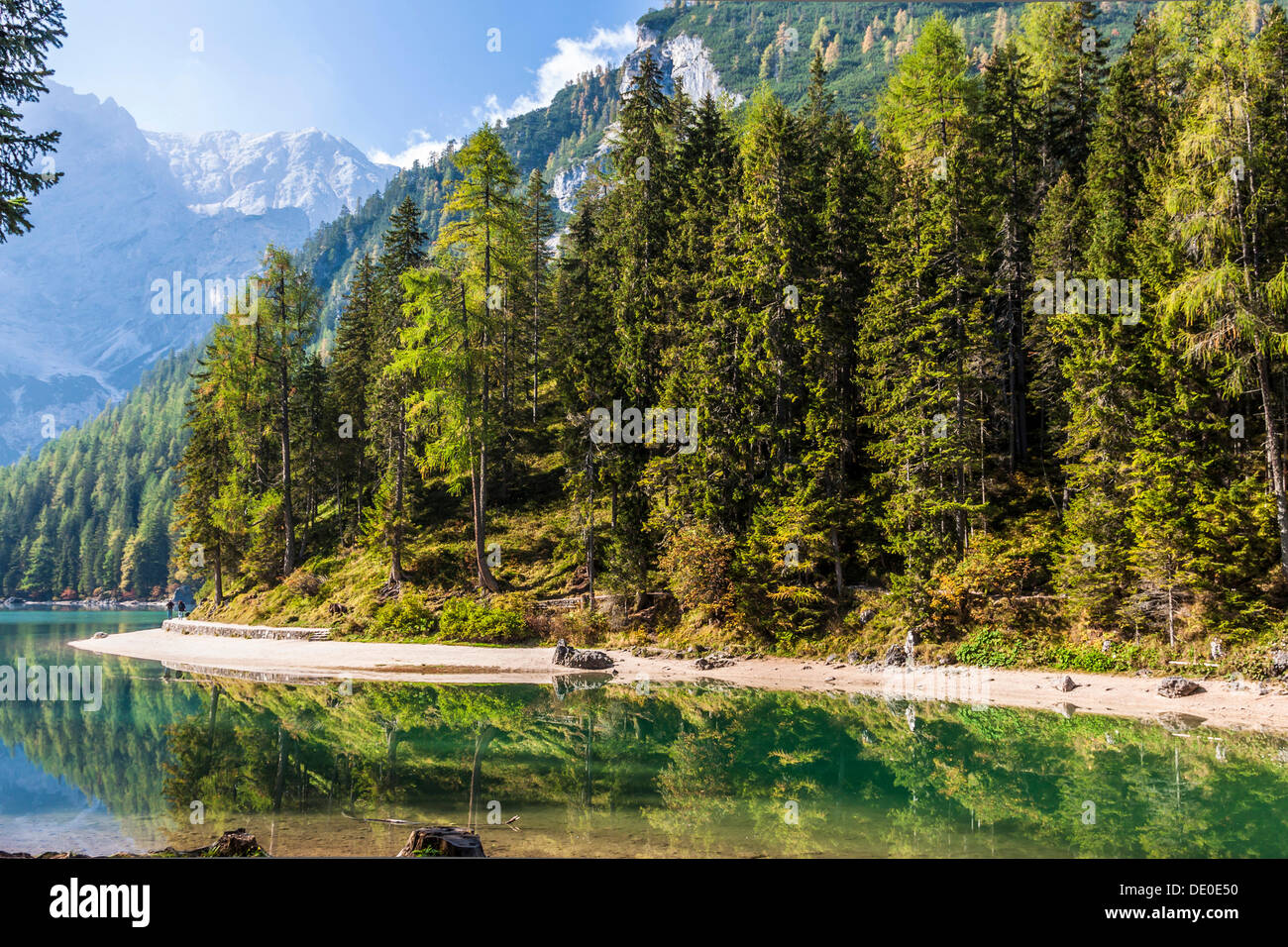 Le lac de Pragser Wildsee, lac Lago di Braies, Pragser Tal vallée, Dolomites, province de Bolzano-Bozen, Italie, Europe Banque D'Images