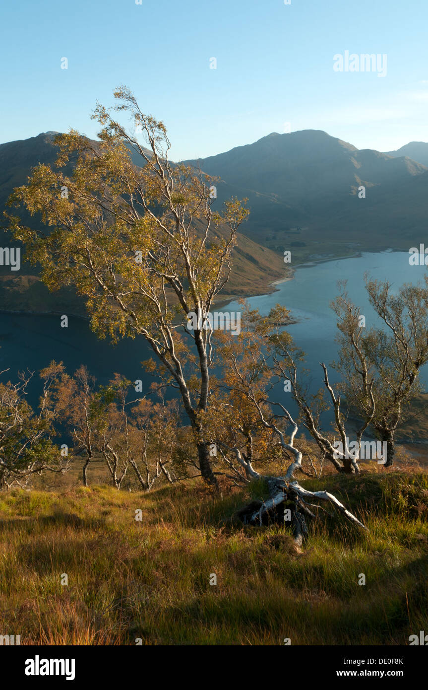 Luinne Bheinn et Glen Barrisdale, Knoydart, sur le Loch Hourn, de Druim Fada, région des Highlands, Ecosse, Royaume-Uni Banque D'Images