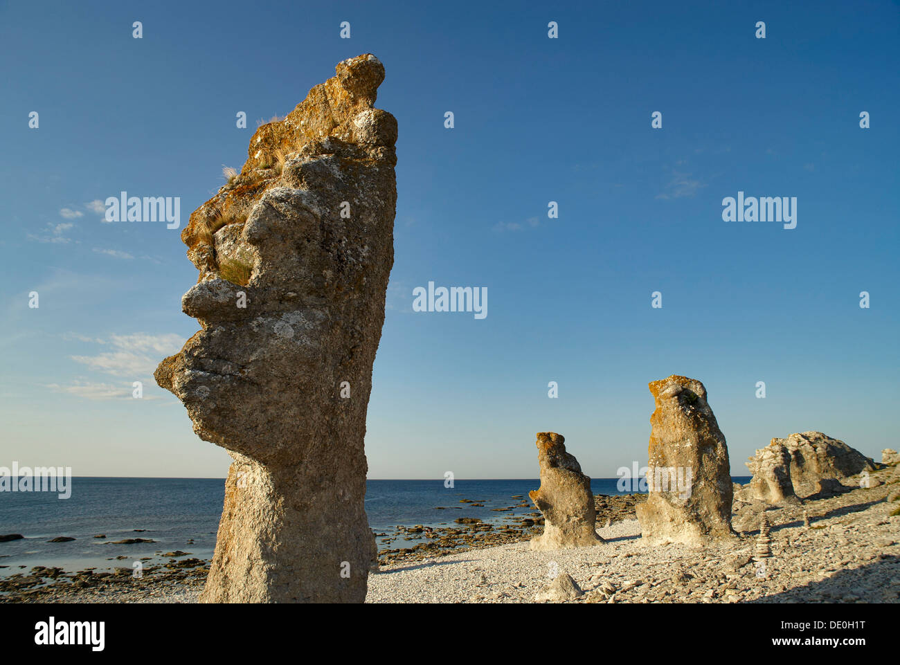 Rauks, colonnes de calcaire sur l'île de Gotland, Suède, Scandinavie, Europe Banque D'Images