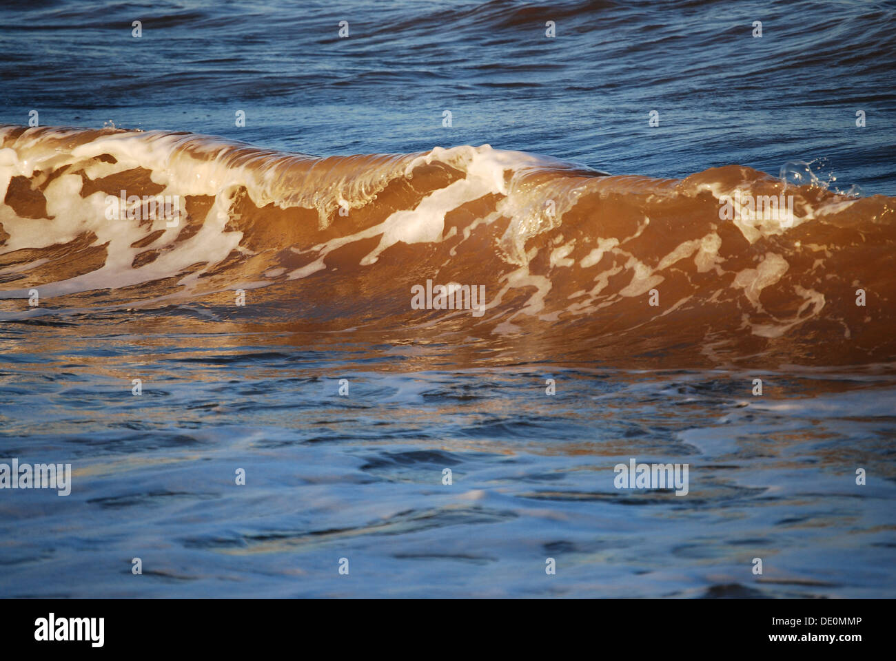 Une crête de la vague Banque D'Images