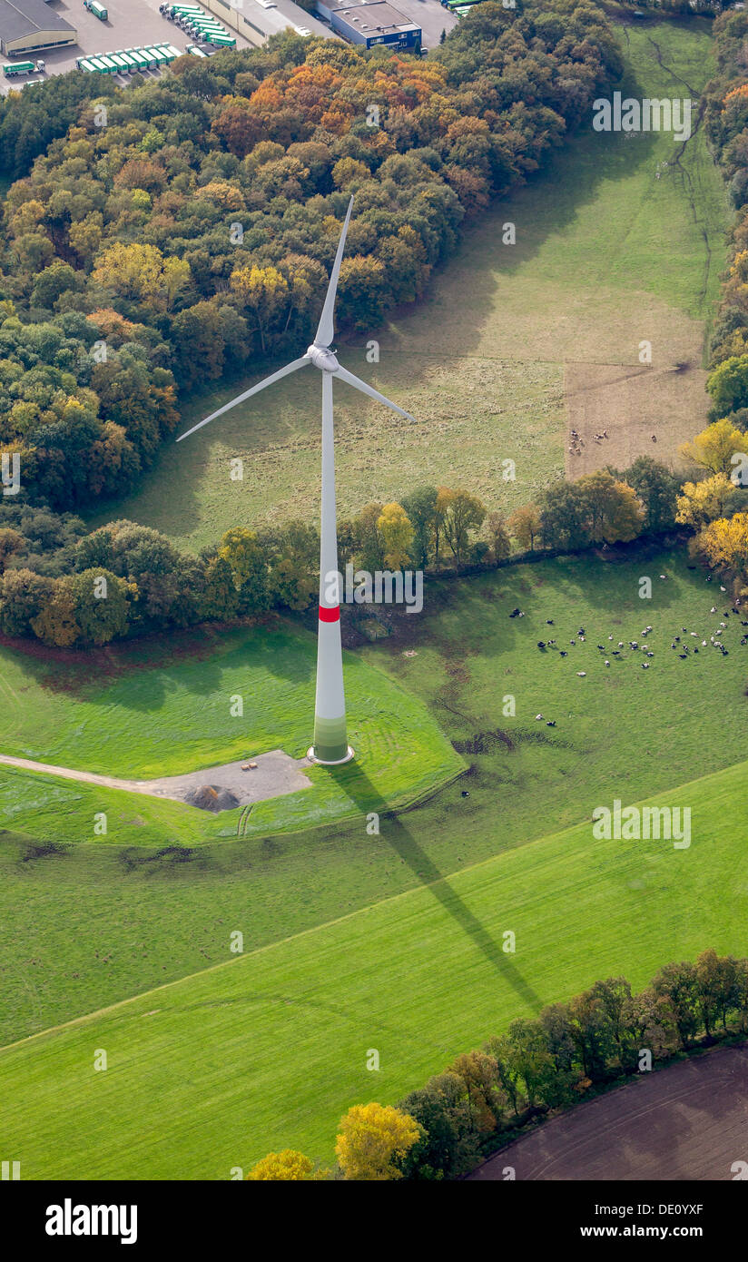 Vue aérienne, nouvelle éolienne, Alt-Rentfort, usine éolienne, Gladbeck, Ruhr, Rhénanie du Nord-Westphalie Banque D'Images