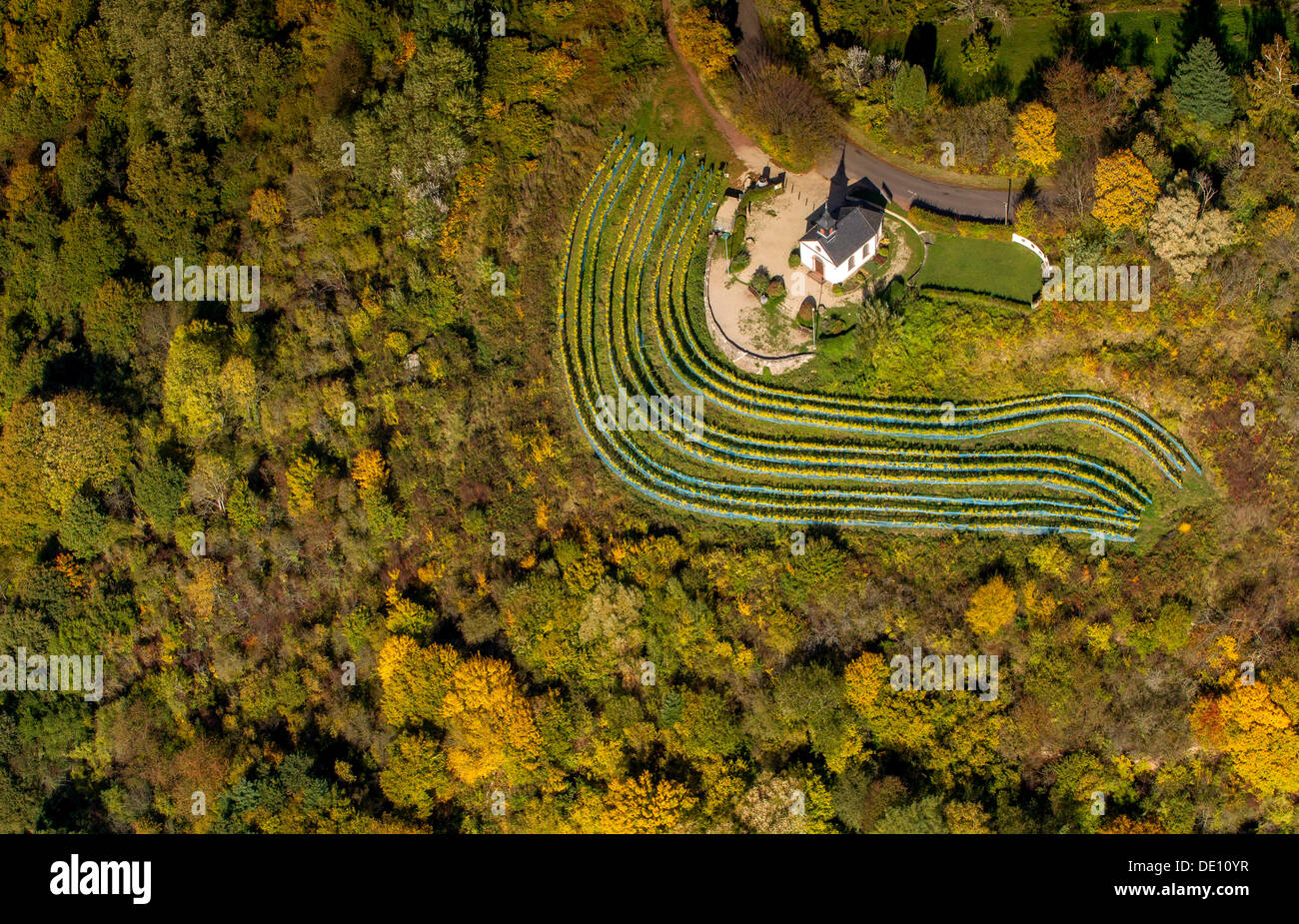 Vue aérienne, chapelle à Ellerweg, vignoble Banque D'Images