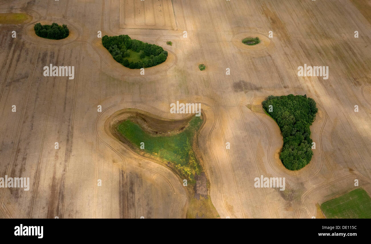 Vue aérienne, champ avec des parcelles forestières, moraine Banque D'Images