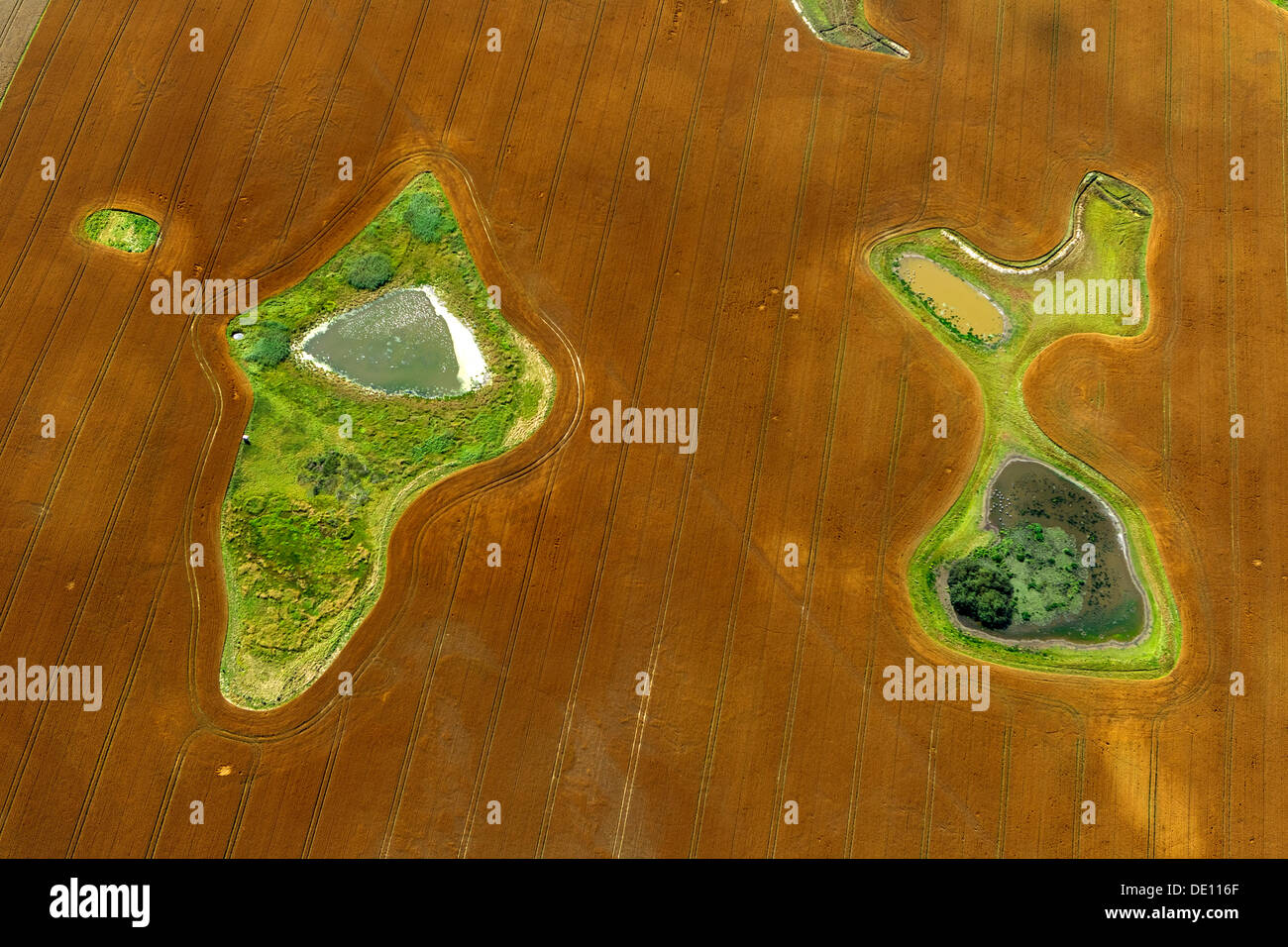 Vue aérienne, domaine récoltés avec des étangs et des îles meadow Banque D'Images