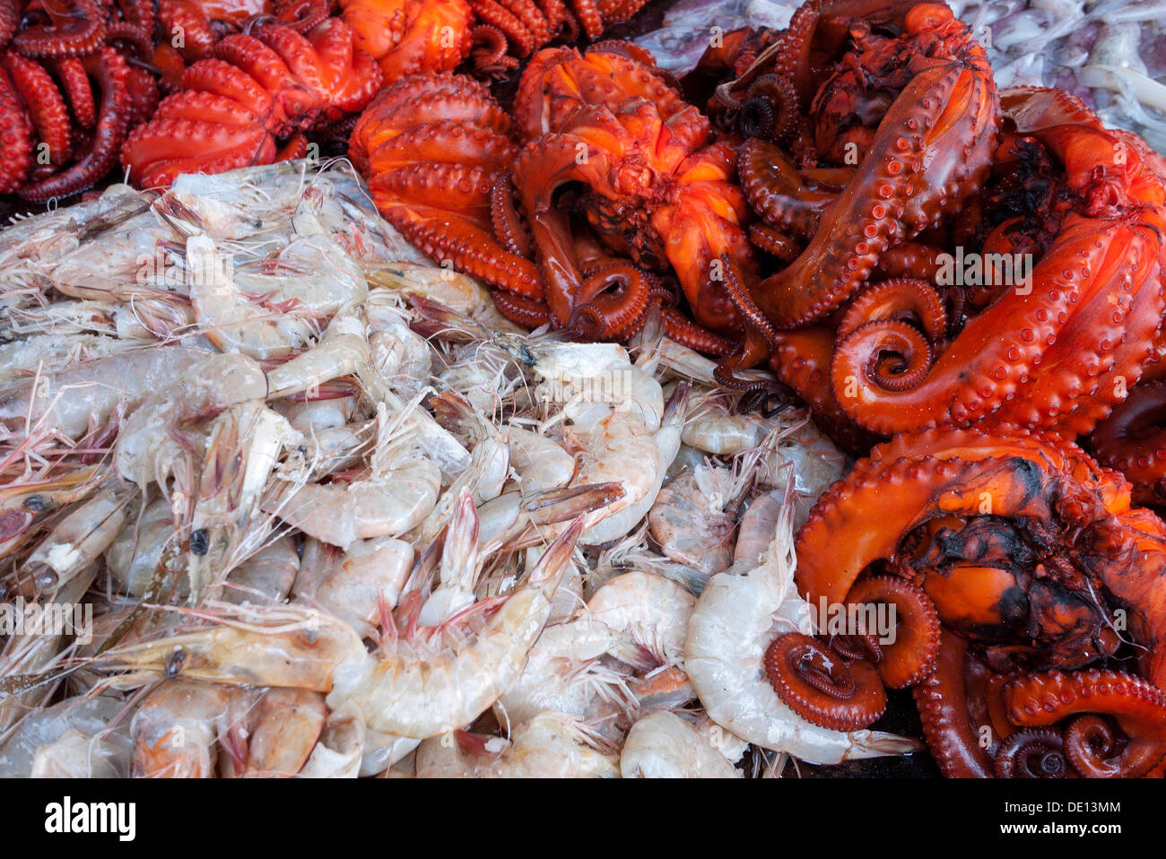 Les calmars et les crevettes, le marché aux poissons, Dar es Salaam, Tanzania, Africa Banque D'Images