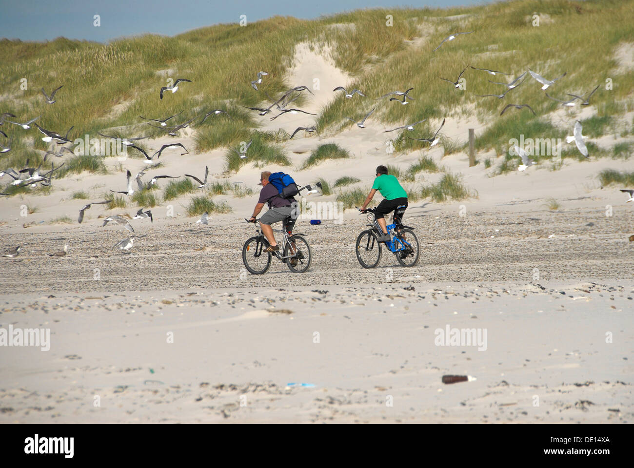 Deux cyclistes en vtt sur la plage, côte de la mer du Nord, le Danemark, Europe Banque D'Images