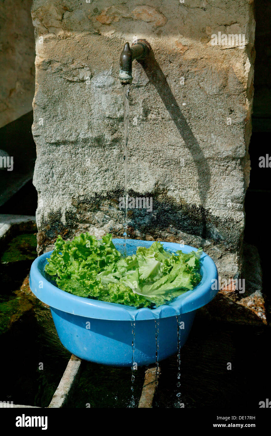 Lave-salade dans un bol en plastique bleu à un puits, Luberon, Provence, France, Europe Banque D'Images