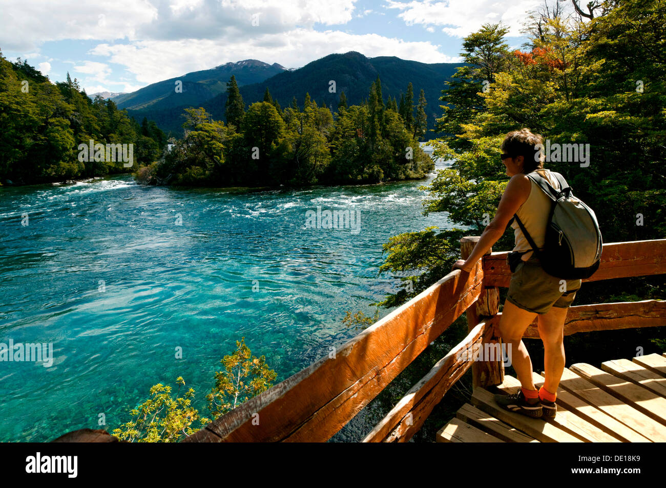 Donnant sur la rivière Arrayanes Rio touristique, parc national Los Alerces, Esquel, Chubut, Patagonie, Argentine, Amérique du Sud Banque D'Images