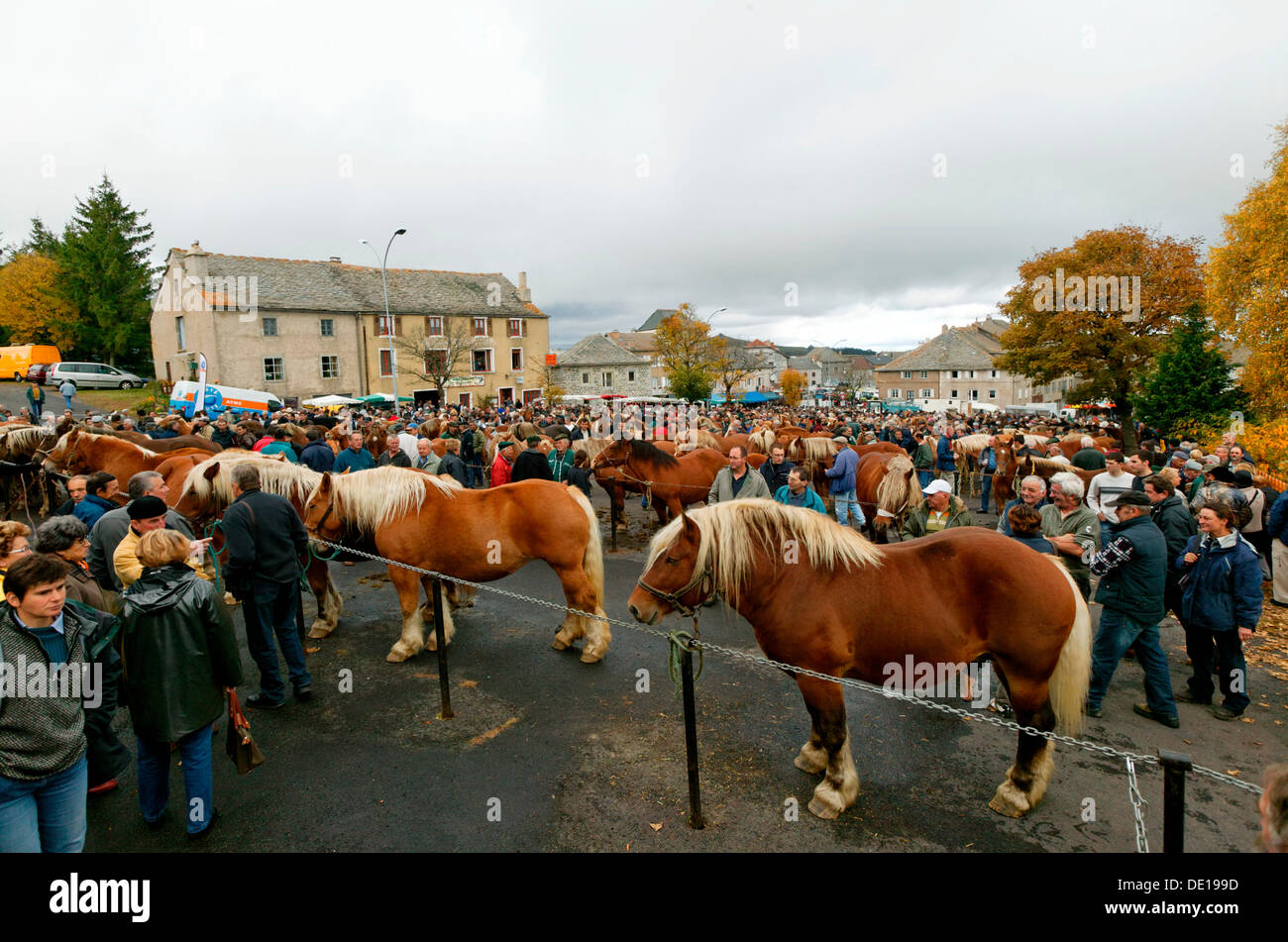 Foire Aux Chevaux 2021 Fay Sur Lignon Fay sur lignon Banque de photographies et d'images à haute résolution -  Alamy