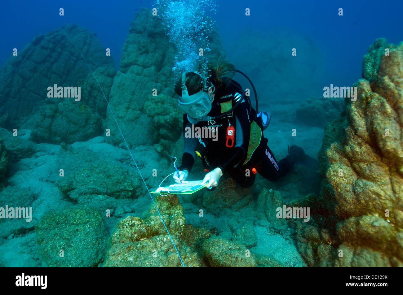 Biologiste marin sur les invertébrés d'arpentage d'un transect dans une zone de protection marine de la baie de Gokova Turquie Méditerranée Banque D'Images