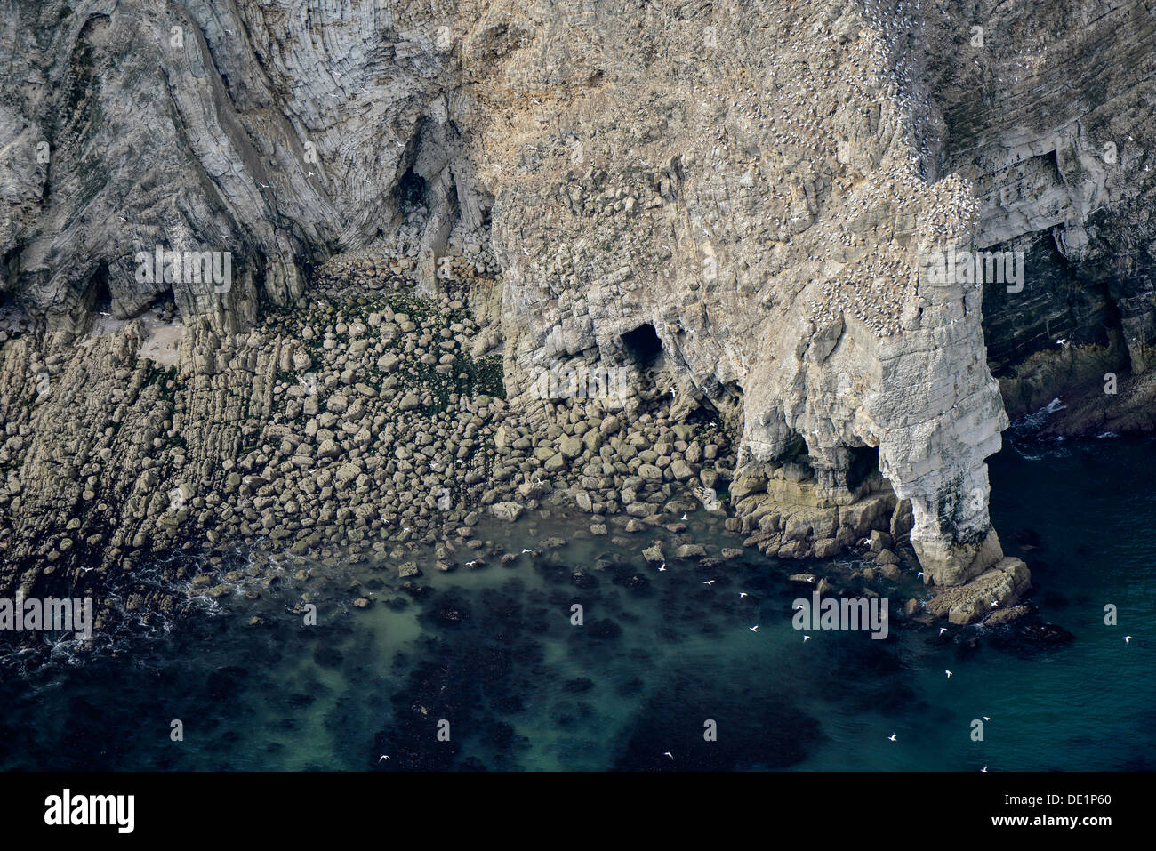 Photographie aérienne des mer et falaises de la côte du Yorkshire du Nord Banque D'Images