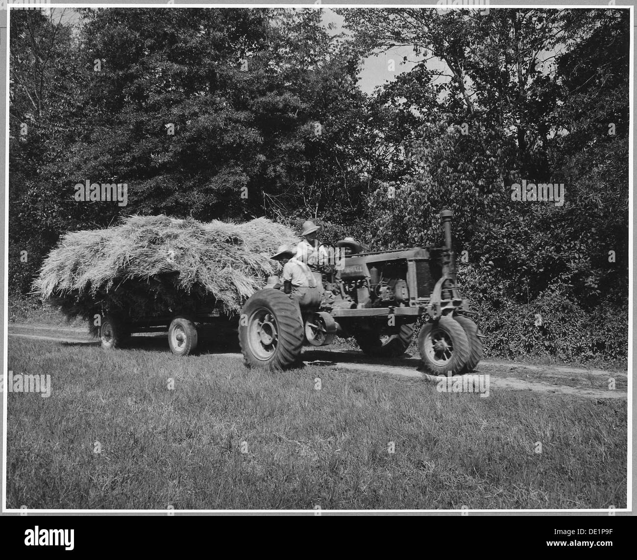 Communauté Harmony, Putnam County, Géorgie... Le propriétaire d'harmonie's best Farm dépose son foin d'avoine . . . 521334 Banque D'Images