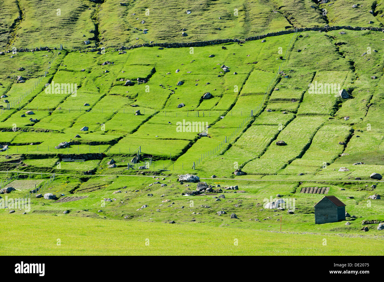 Champs et rochers, grange à l'avant, mais confortables et disposent, Eysturoy, îles Féroé, Danemark Banque D'Images