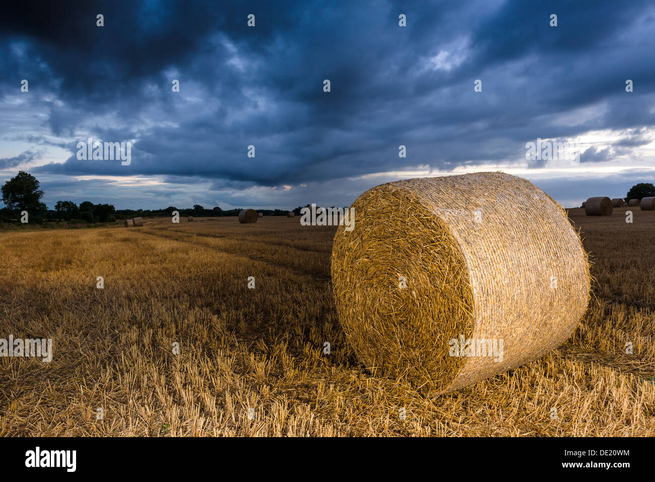 Bottes de paille collection attendent après la récolte comme nuages de tempête de recueillir les frais généraux. Banque D'Images