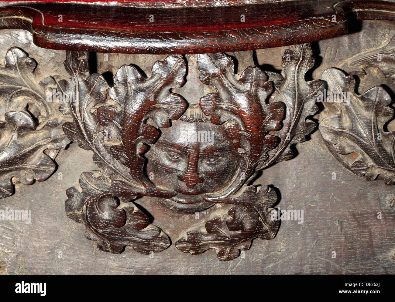 Homme vert, 14e siècle, misericord médiévale. Margarets, Kings Lynn Norfolk England UK Anglais miséricordes sculptées en bois Banque D'Images