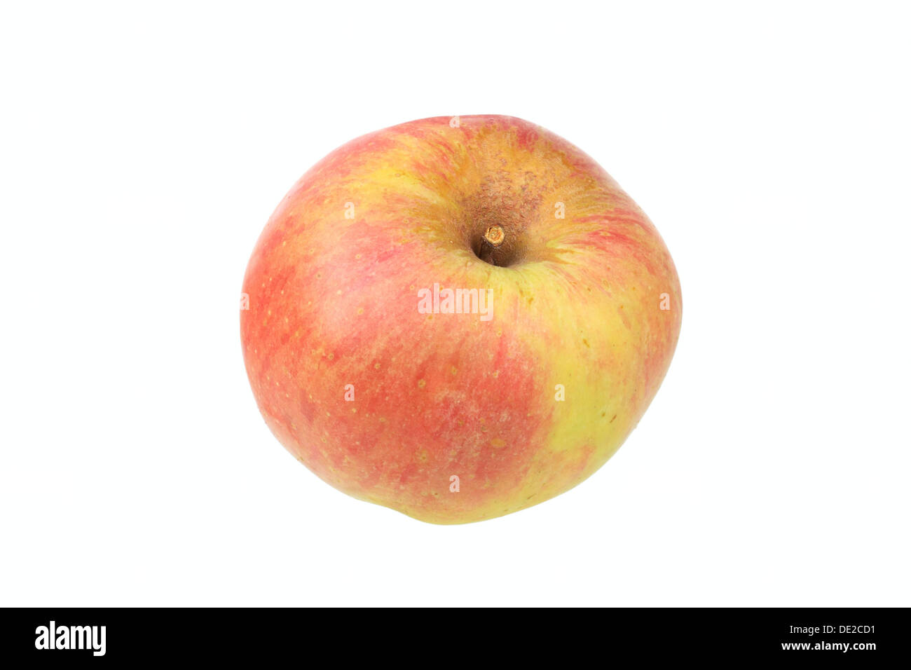 Apple, Anhalter variété, pour la production de cidre traditionnel trier Banque D'Images