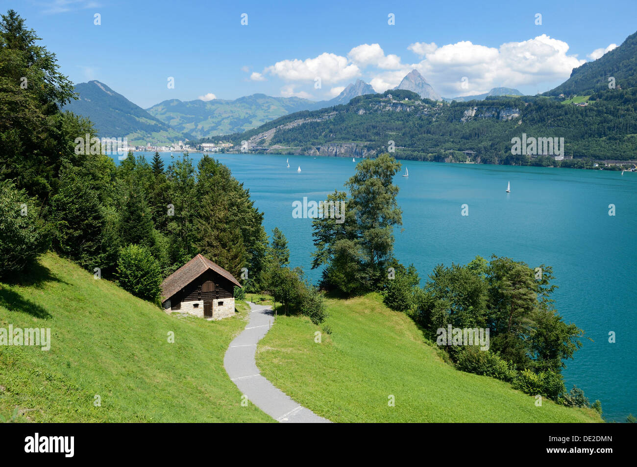 Ruetli, le site fondateur de la Suisse, avec l'Akademie Kleiner et Grosser Mythen montagnes, Zürich, Switzerland, Europe Banque D'Images