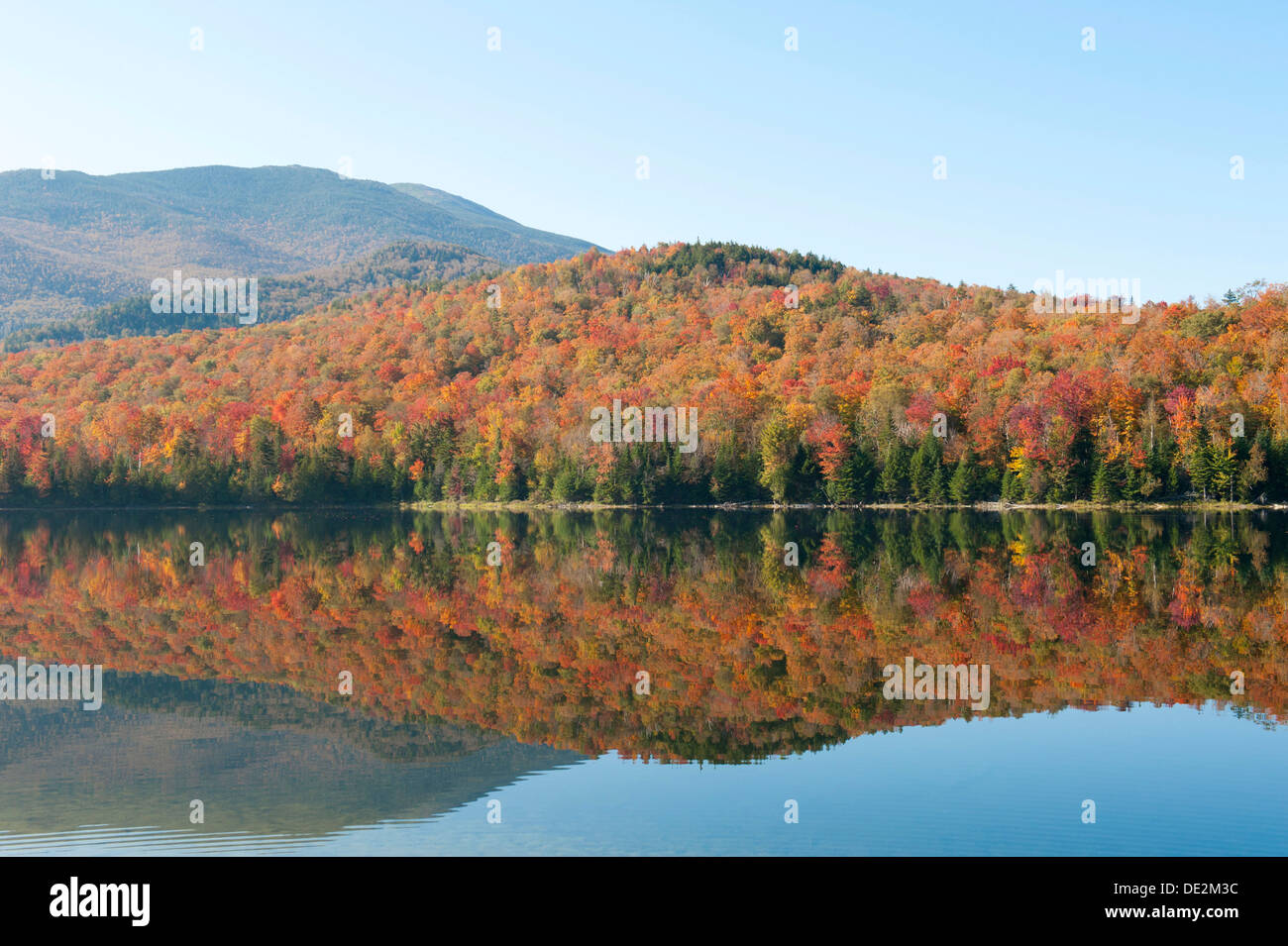L'été indien, le feuillage en automne, Heart Lake, Adirondacks, Adirondacks, près de Lake Placid, New York, USA, Amérique du Nord Banque D'Images