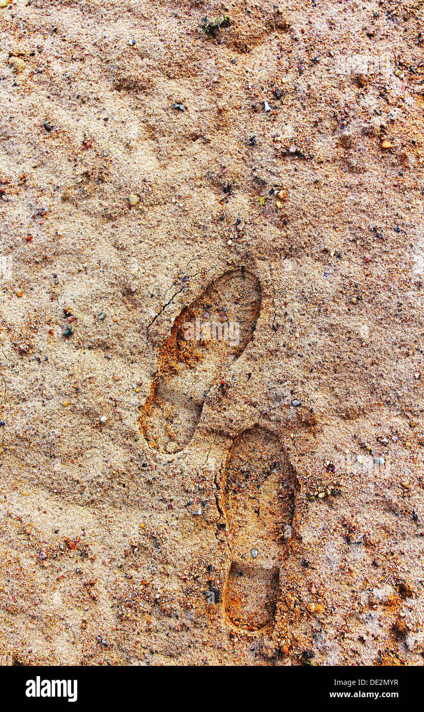 Traces dans le sable Banque D'Images