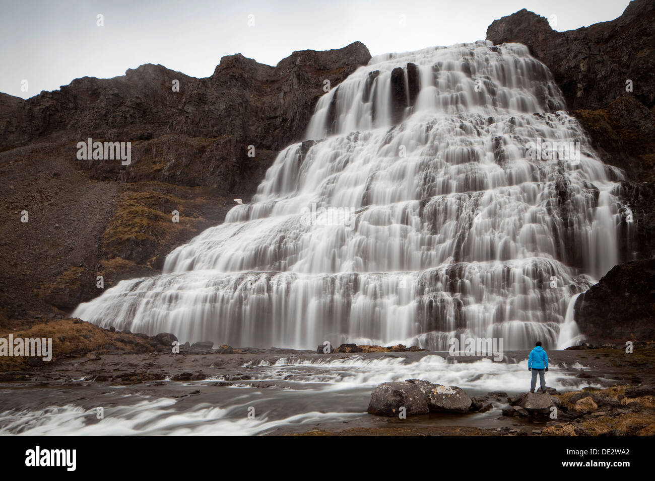 Randonneur en face de la cascade de Dynjandi, Fjallfoss, Fjords de l'Ouest, Islande, Europe Banque D'Images