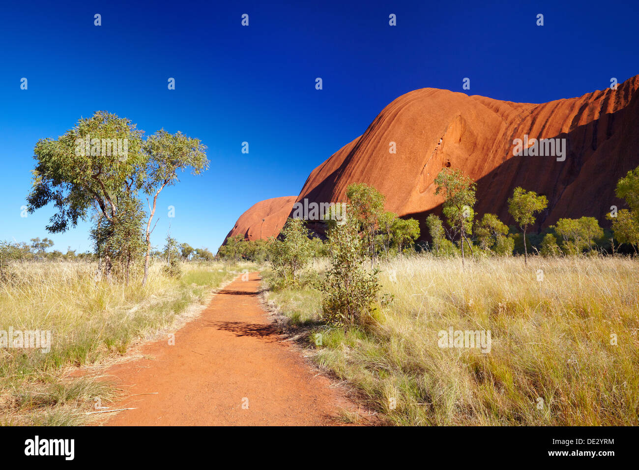 À pied de base, Uluru (Ayers Rock), le Parc National d'Uluru-Kata Tjuta, Australie Banque D'Images