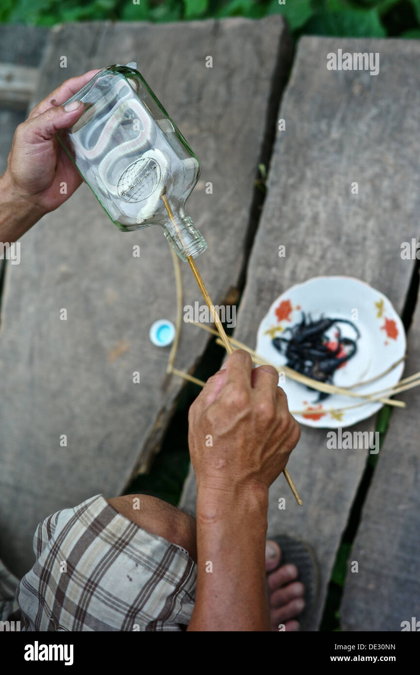 Un homme se prépare dans le Whisky Whisky LAO Lao Village, connu sous le nom de Ban Xang Hai. Un village lao sur la route aux grottes de Pak Ou dans le Mékong. Banque D'Images