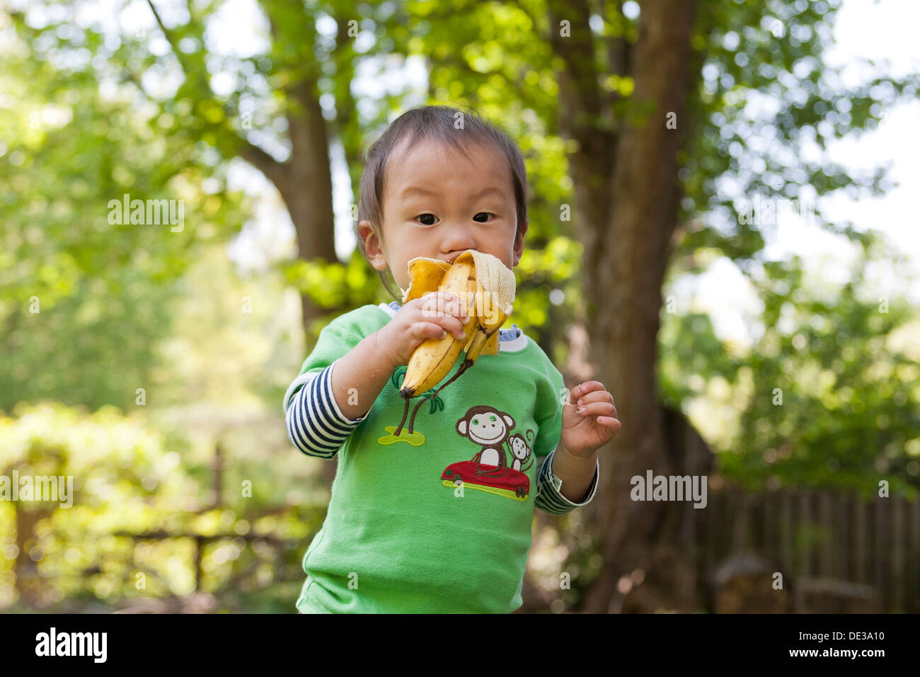 Bébé garçon asiatique manger une banane Banque D'Images
