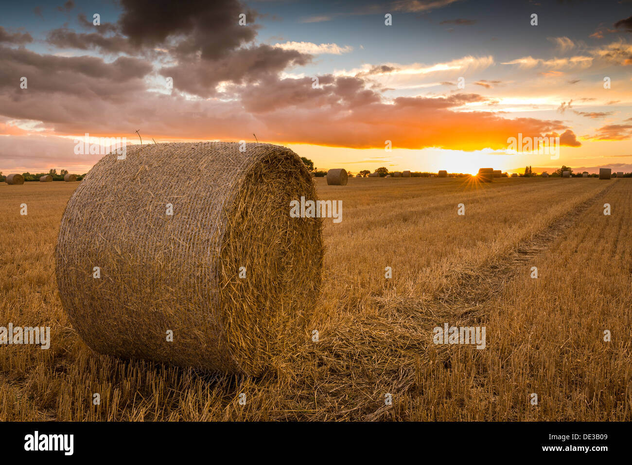 Golden Harvest Sunset Banque D'Images