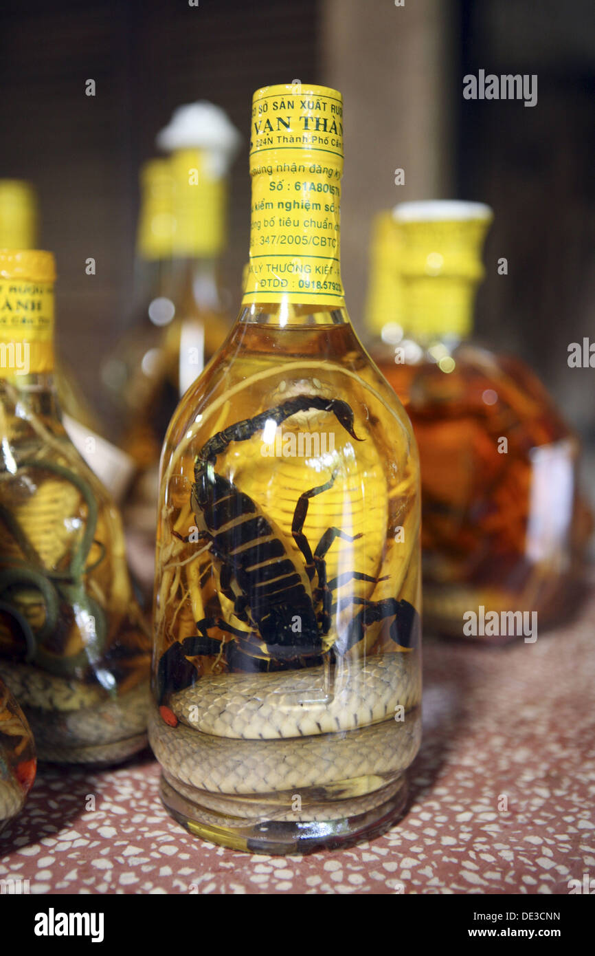 Scorpion liquor Banque de photographies et d'images à haute résolution -  Alamy