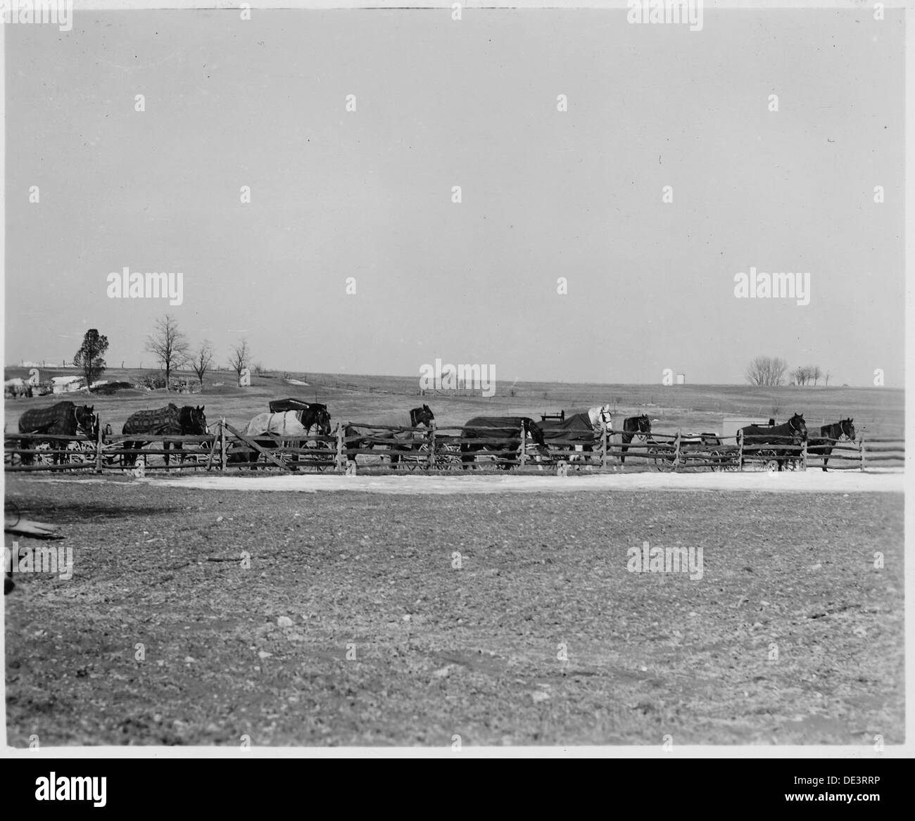 Cette photographie illustre les méthodes de transport utilisées dans les communautés amish et mennonites de l'ancien ordre du comté de Lancaster, en Pennsylvanie, en 1941. L'image reflète leur dépendance à l'égard des véhicules tirés par des chevaux et la préservation des modes de vie traditionnels. Banque D'Images