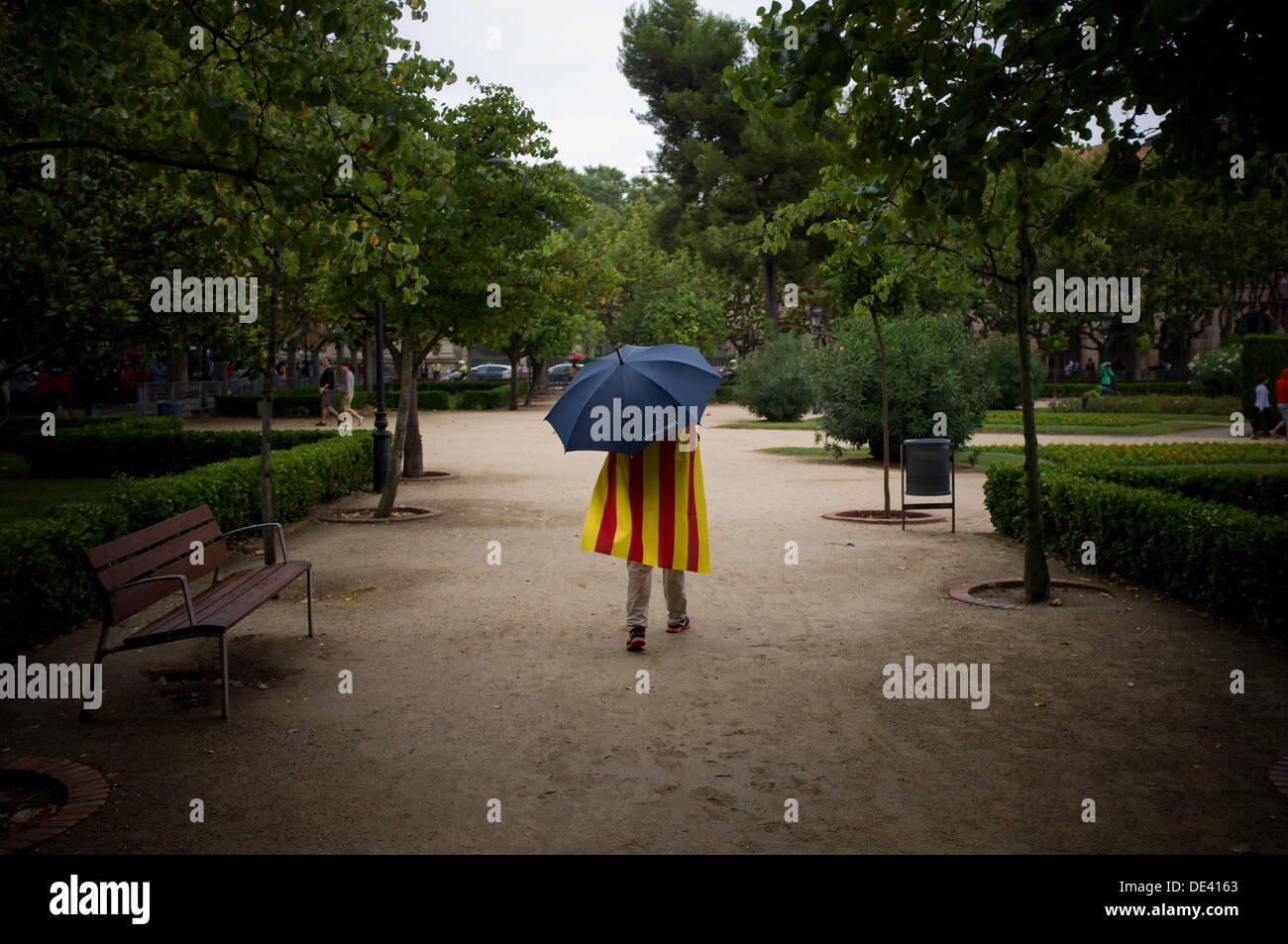 Barcelone, Espagne. 11e Août, 2013. Un homme marche portant un drapeau  catalan et un parapluie par le Parlement Catalan jardins. Sous une pluie  légère les rues de Barcelone sont remplis d'enyeres «' (