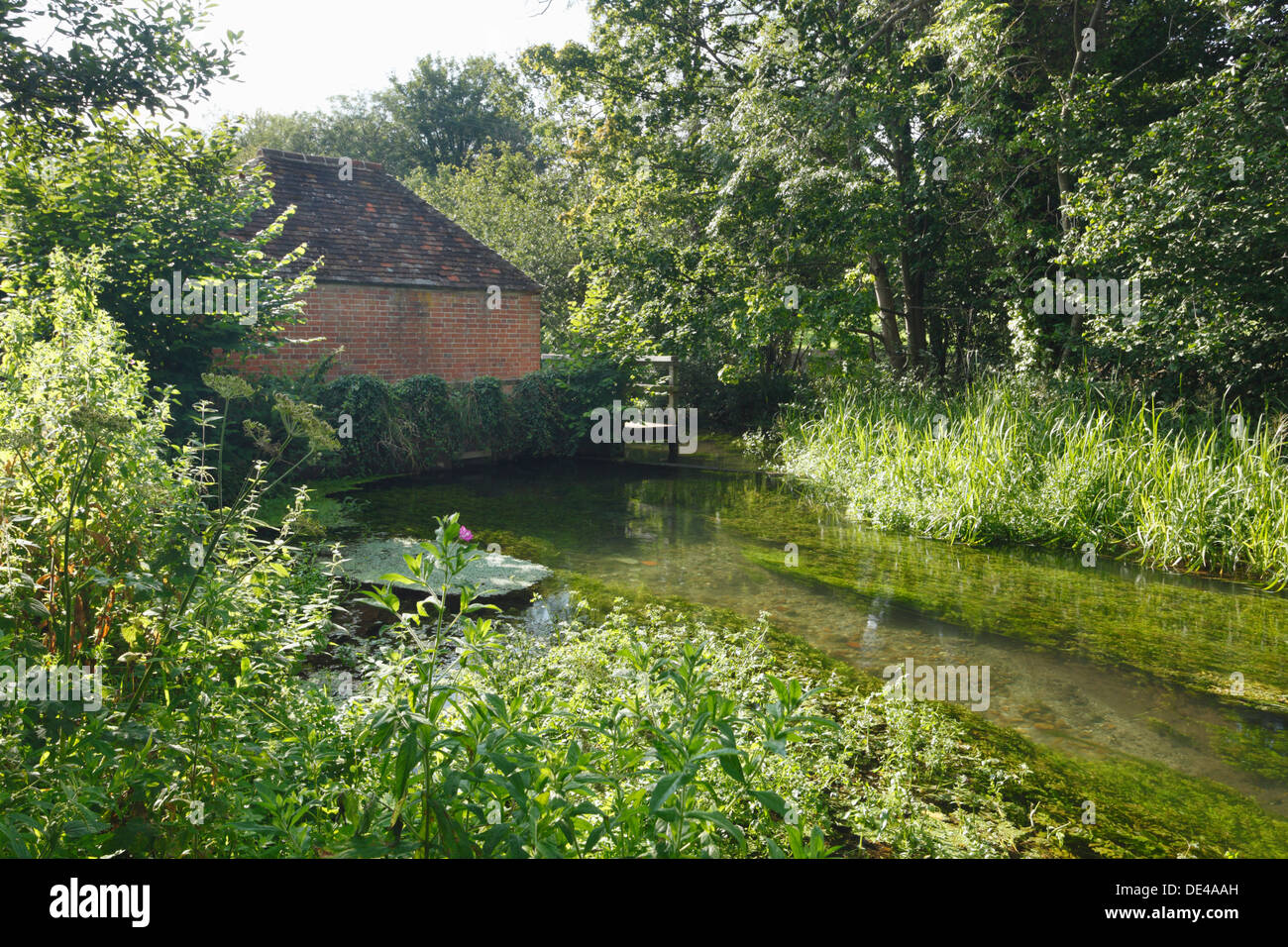 Maison de l'anguille sur la rivière Itchen. New Alresford. Le Hampshire. L'Angleterre. UK. Banque D'Images