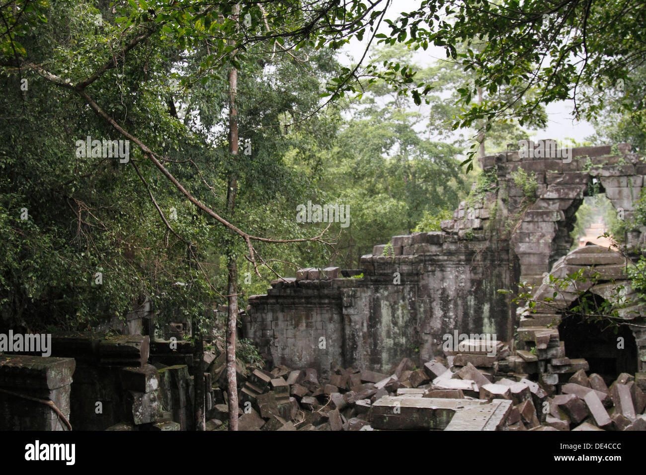 Beng Mealea Temple (hindouistes et bouddhistes), Angkor, Siem Reap, Cambodge Banque D'Images