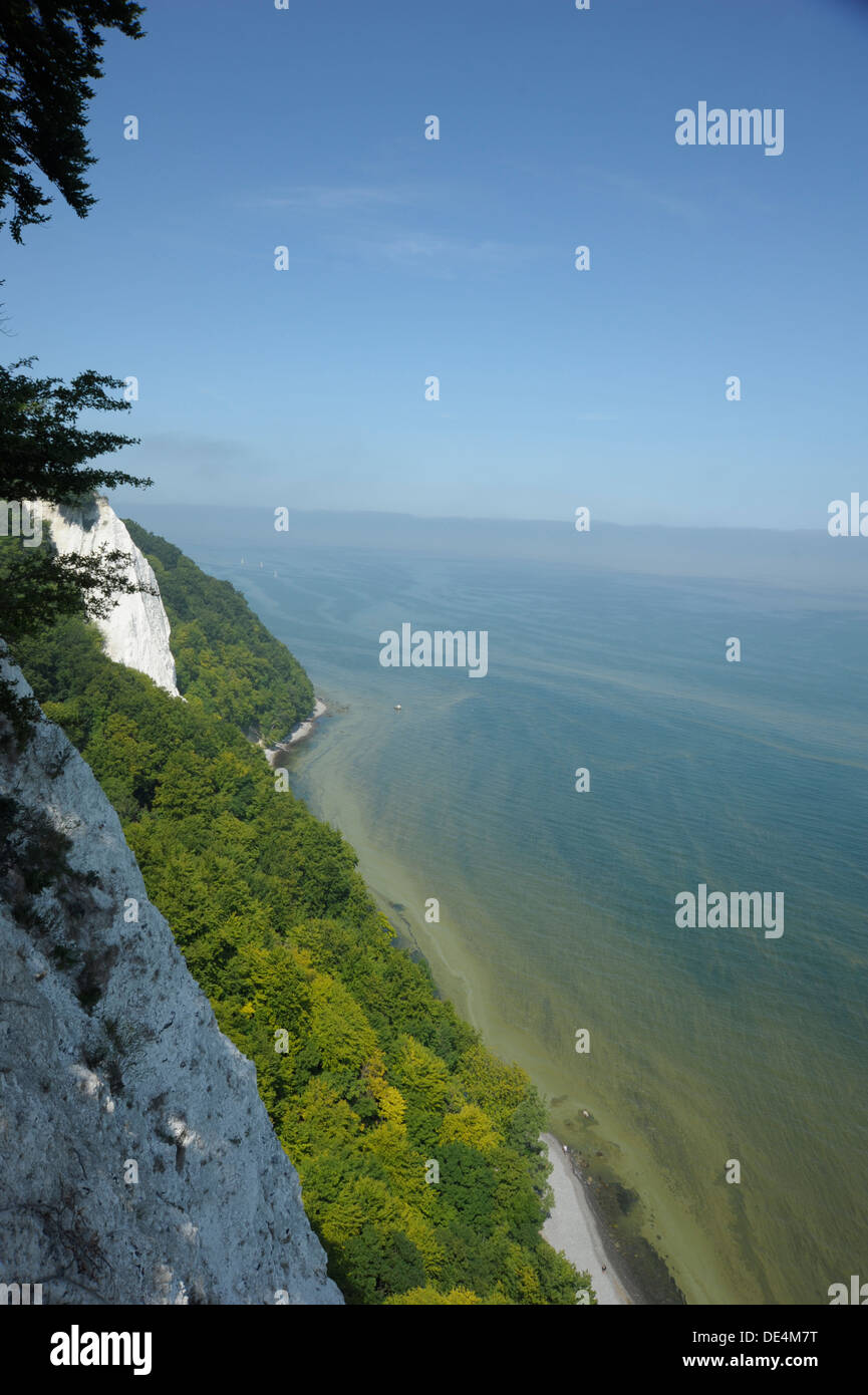 , Kreidefelsen Jasmund Banque D'Images